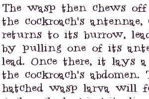 Text from Kay's book, "The Facts Lab Book of Insects"